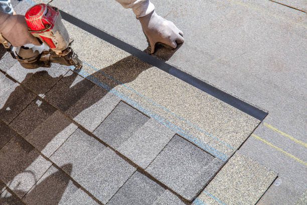 Best Local Roofing Companies  in Lakewood Clu, MI
