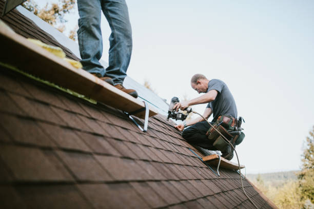 Professional Roofing Contractor in Lakewood Clu, MI