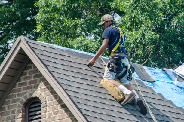Best Roofing Contractor Near Me  in Lakewood Clu, MI